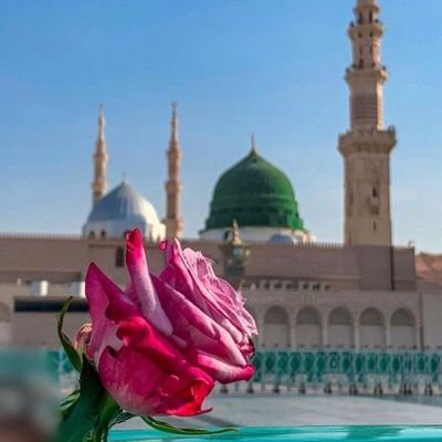 AsifAli315461's profile picture. 