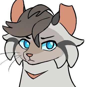 RiverClan Medicine Cat // Parody acc run by: @Fournerr_ // RIP Jayclaw 🕊️// Splashtail and Curlfeather DNI‼️
