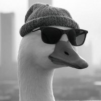 Последний гусь (@15rublei) 's Twitter Profile Photo Последний гусь (@15rublei) 's Twitter Profile Photo
