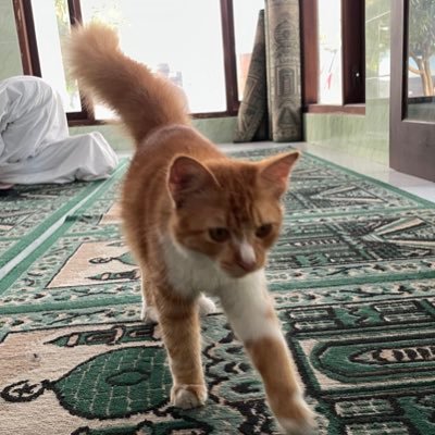 satuemiten's profile picture. Cuma mulung di IDX Indonesia