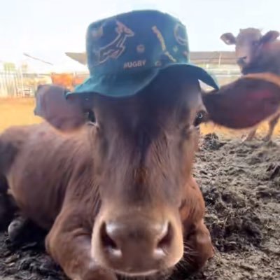 marxistben's profile picture. 