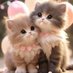 Asma (@asma118632) Twitter profile photo Asma (@asma118632) Twitter profile photo