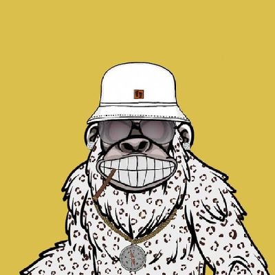 Highly active Memecoin Community member. I call Solana home.