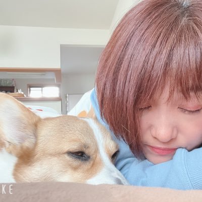 NA2AK_0410's profile picture. 出逢えた事に感謝です🍀佐藤健推し🩵シドは永遠👑コーギーは癒し💕零くん(2022年4月に4歳で永眠)二代目玲くん(2022年2月3日生まれ)長生きします👏今を大切に🍀