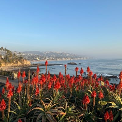 ElonMuskurock's profile picture. 