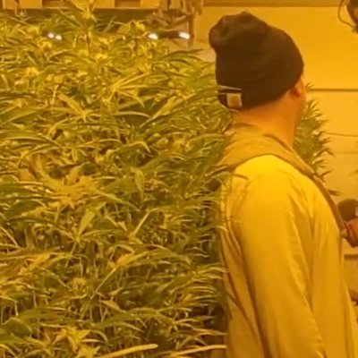 Smokesumfucksom's profile picture. It's '25
Your either here for 
Ass ,hash or crypto 
Stfu I know what you need 
I'm above average 
DM for what you need