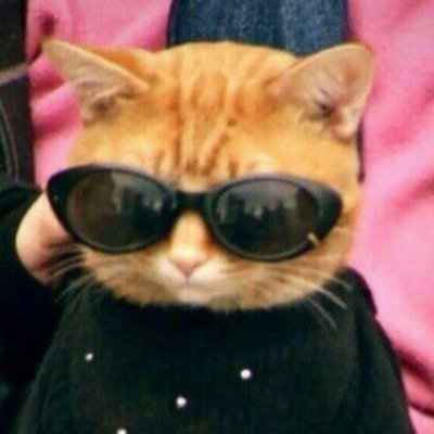 vilgerm's profile picture. Frontend developer