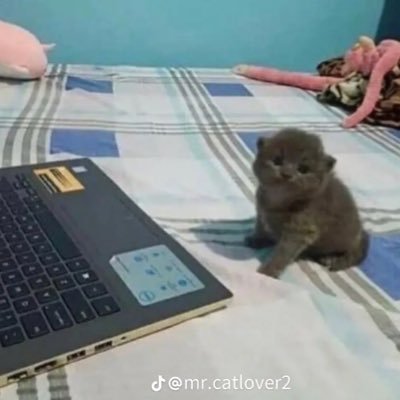 thatoneguy9683's profile picture. ^ i only use twitter for bets so i dont have a regular account