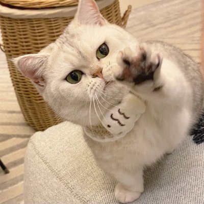 Audreyolinei's profile picture. 