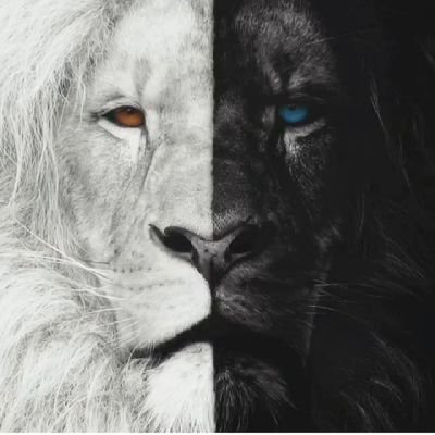 CRISTHYANSTYVEN's profile picture. CrRobayo 🥋🥊🏋🏽‍♂️🏋🏽‍♂️✖️1️⃣2️⃣