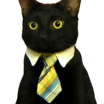 BlaCko79533494's profile picture. 