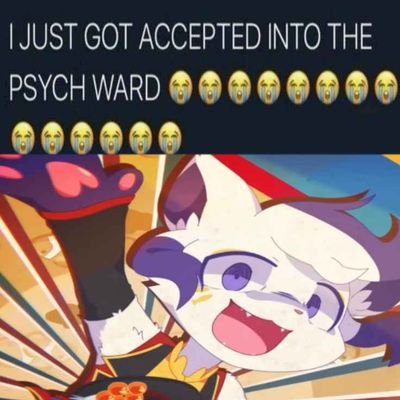 Furry memes Profile