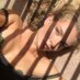 Tammy katerooger (@katerooger508) Twitter profile photo Tammy katerooger (@katerooger508) Twitter profile photo