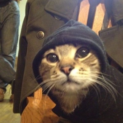 prensamere's profile picture. pretty but ain’t acting it