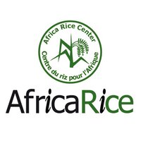 AfricaRice(@AfricaRice) 's Twitter Profile Photo