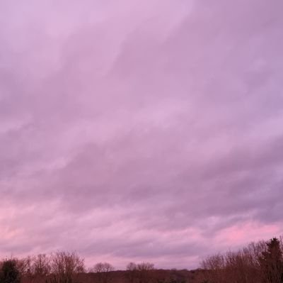 RabiaL121's profile picture. #inclusion #equality  #FollowBackFriday #RefuseToBePoor 
#FBPE 
Views are my own -RT are not endorsements