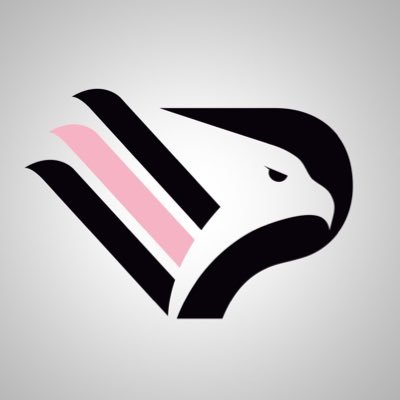 ⚽️ Official Twitter Account of Palermo Football Club 💗🖤 #siamoAquile 🦅