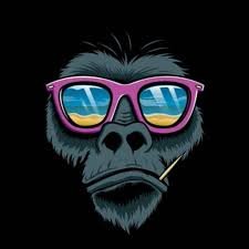 morganlandon241's profile picture. Wrote a smart contract, forgot how to do laundry.