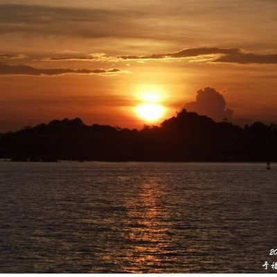 MEIWENCONG's profile picture. 