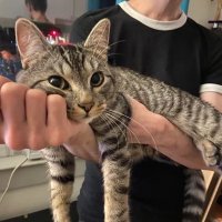 双黄蛋 (@doubleanything) 's Twitter Profile