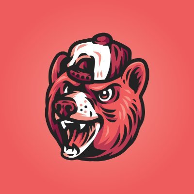 Teddy Rocks Festival Profile