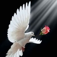 M.I.khan (@mikhan96973) 's Twitter Profile