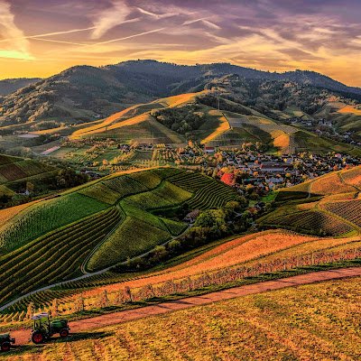 echotech049's profile picture. 