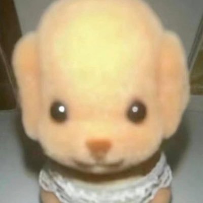 shay✨they/sheさんのプロフィール画像