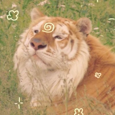 jhank_012's profile picture. Como, não sabendo o que é, nem sabendo onde fica, podem saber o quanto disso você tem?