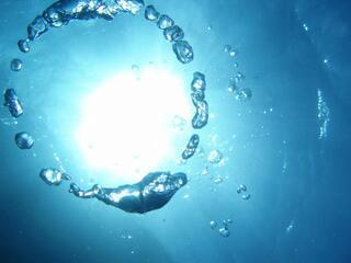 mogamino's profile picture. 