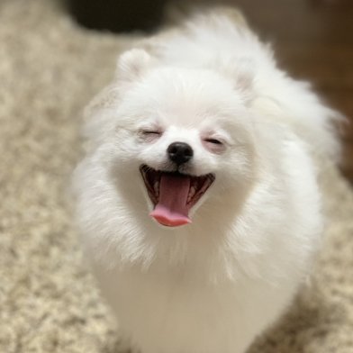 MLbHs2BOEg18185's profile picture. ブログ「愛の羅針盤：恋愛の迷いを解く場所」を運用しています。
テーマは「愛に迷ったとき、進むべき方向がここにある」
カテゴリ: 初恋、復縁、結婚に至った恋愛など。
お任せあれ❣️
Amazonアソシエイトに参加中