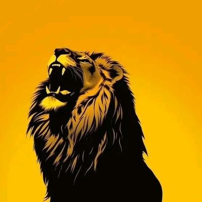 urofrancis70's profile picture. 