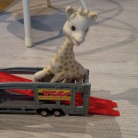 蒼碧 (@souheki1986) 's Twitter Profile Photo