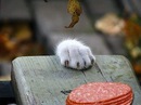 #ВЗАИМНЫЙ ФОЛЛОВИНГ