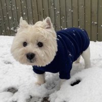 Charlie Hudson (@charliehudz) Twitter profile photo
