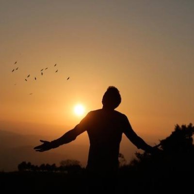 TonyPainter_'s profile picture. Sou pintor e amo paisagens, flores e animais.