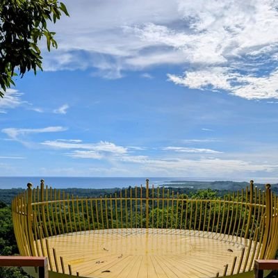 thadeus2025's profile picture. I love nature 💚