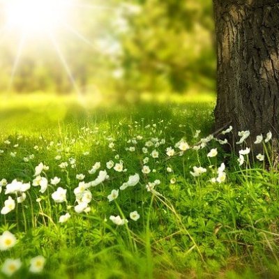 お金を引き寄せる秘訣や有益情報など紹介中。自分自身お金に苦労した経験からお金に困っている人を助けたいと思い、わずかですが現金プレゼント企画をしています☆ なくなり次第終了▶ https://t.co/gsoqntO2x4