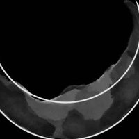 xxxEBxxxxx (@xxxxebxxx) 's Twitter Profile