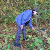 佐藤聖子 (@lilysohigh) 's Twitter Profile