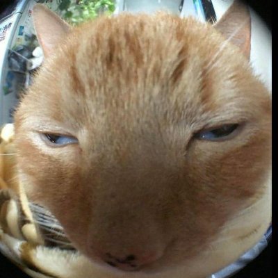 superkshak's profile picture. 