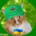 gingerthecat🇺🇦🇬🇧 (@gingertheorange) Twitter profile photo gingerthecat🇺🇦🇬🇧 (@gingertheorange) Twitter profile photo