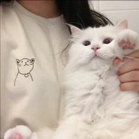 د. غايه 🐾 (@uaeiyah23) 's Twitter Profile Photo