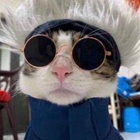 George Punished (@georgepunished) 's Twitter Profile