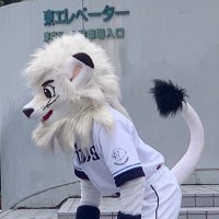 koo (@koolions26) 's Twitter Profile