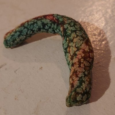 Florian60998116's profile picture. Truth, simplicity