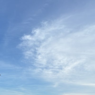 41coinairdrop's profile picture. 