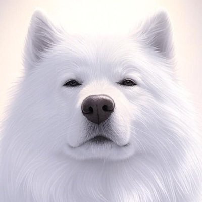 エルケンさんのプロフィール画像
