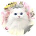 シェナ (@tokomeonqs) Twitter profile photo シェナ (@tokomeonqs) Twitter profile photo