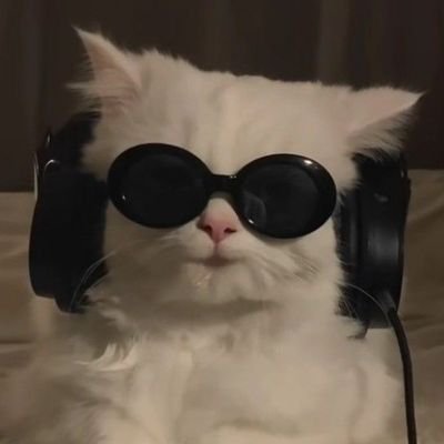 2prin9's profile picture. you can have a good morning ✨️